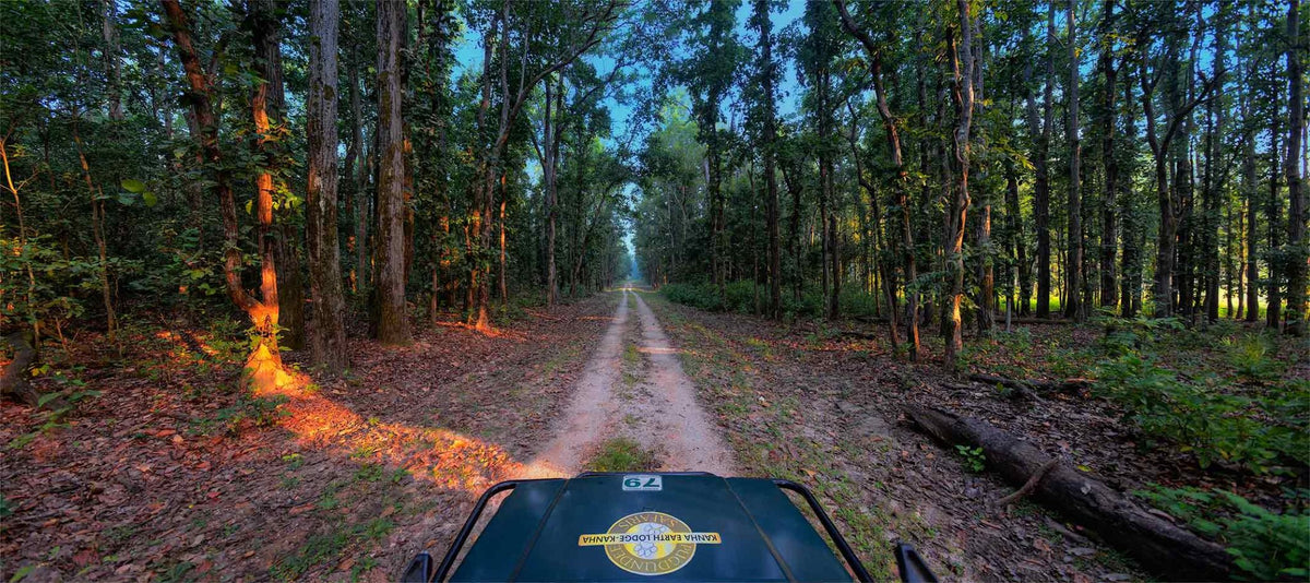 KANHA โ THE SAL FOREST CHRONICLES