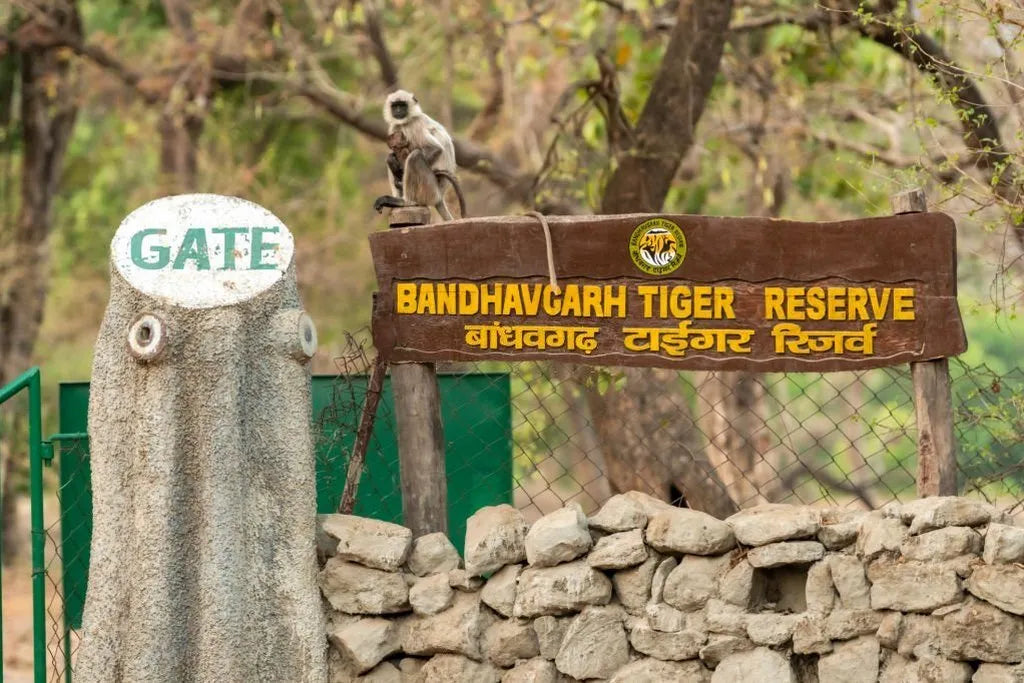 BANDHAVGARH โ REALM OF THE TIGER KING