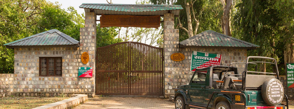 RAJAJI โ THE LEOPARD PARADISE