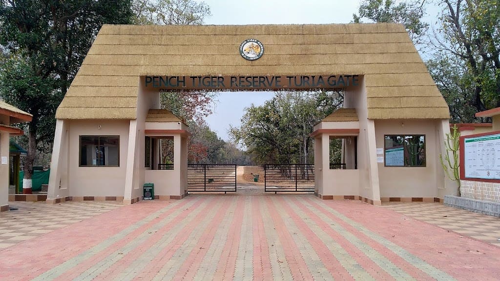 PENCH โ THE ORIGINAL JUNGLE BOOK
