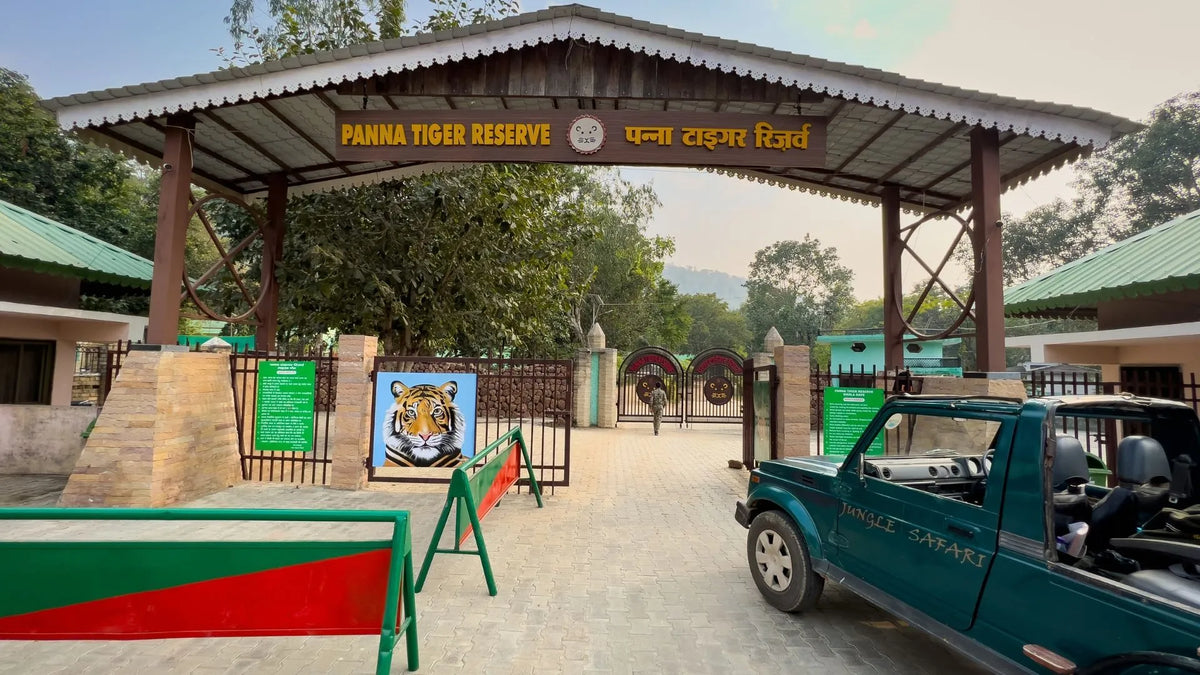 PANNA โ THE KEN'S QUIET RETURN