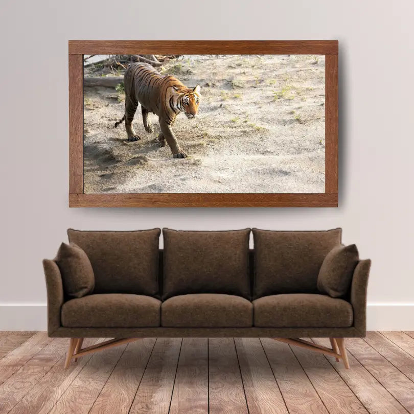 The Crossing — Tiger, Fine Art Photography | Limited Edition