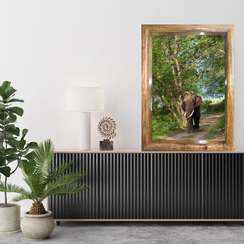 Through the Canopy — Elephant, Fine Art Photography | Limited Edition