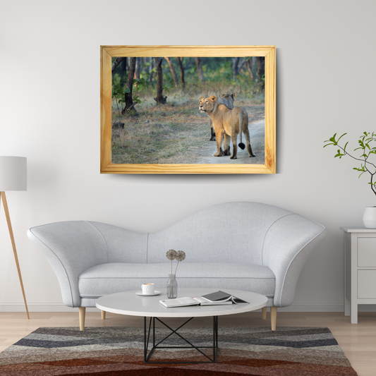 Lioness in Golden Light – Premium Wildlife Wall Art | Framed Fine Art Collection for Living Room, Office & Luxury Interiors