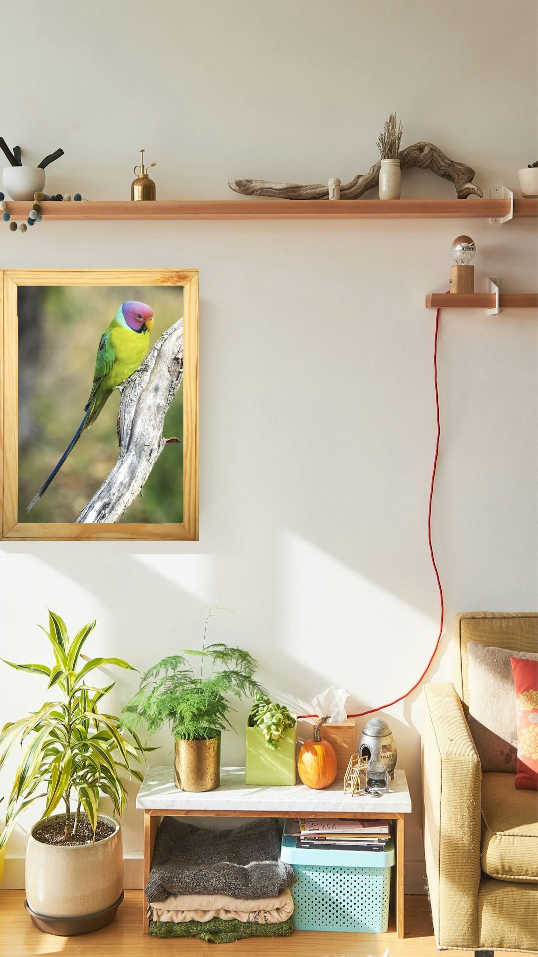 The Hidden Gem of Panna — Parakeet, Fine Art Photography | Limited Edition
