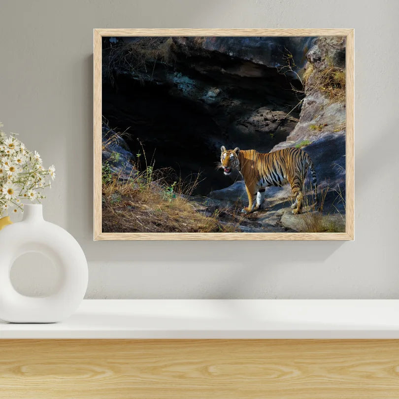 The Secret Waterhole — Tiger, Fine Art Photography | Limited Edition