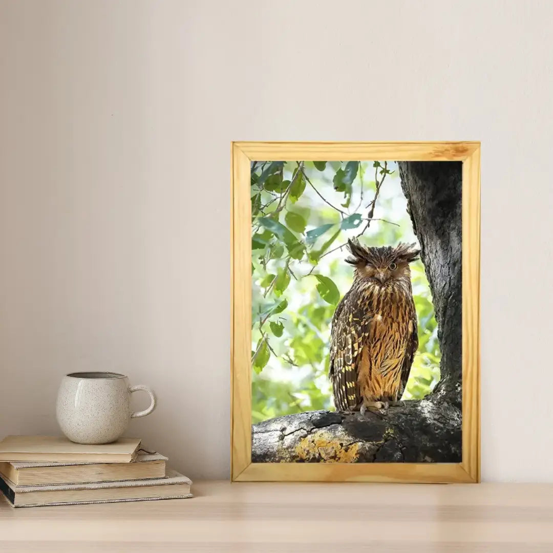 Winking Owl - Kanha National park Framed Owl Bird Photograph