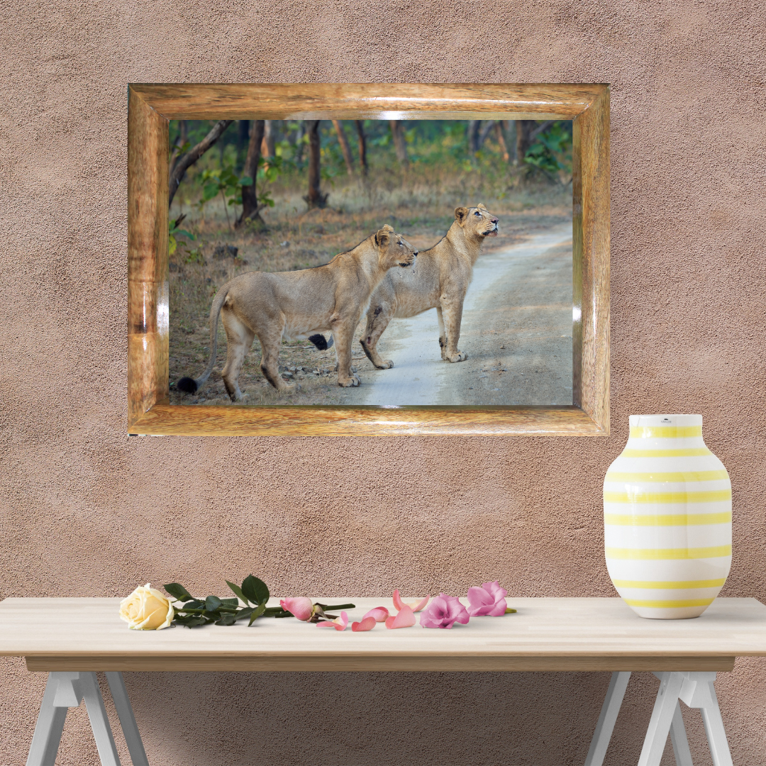 Sisters of the Wild – Lionesses on the Forest Trail | Fine Art Wildlife Print