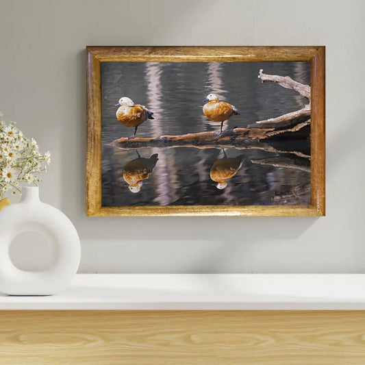 Dreams on Water | wildlife photo art | wildlife artwork for Art Collector