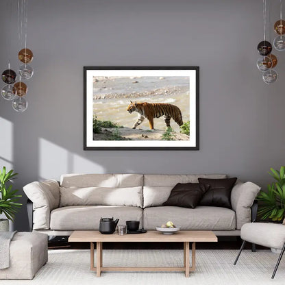 Graceful Tiger Crossing Jungle - Wooden Wildlife Photo Art - Wooden Wildlife Photo Art