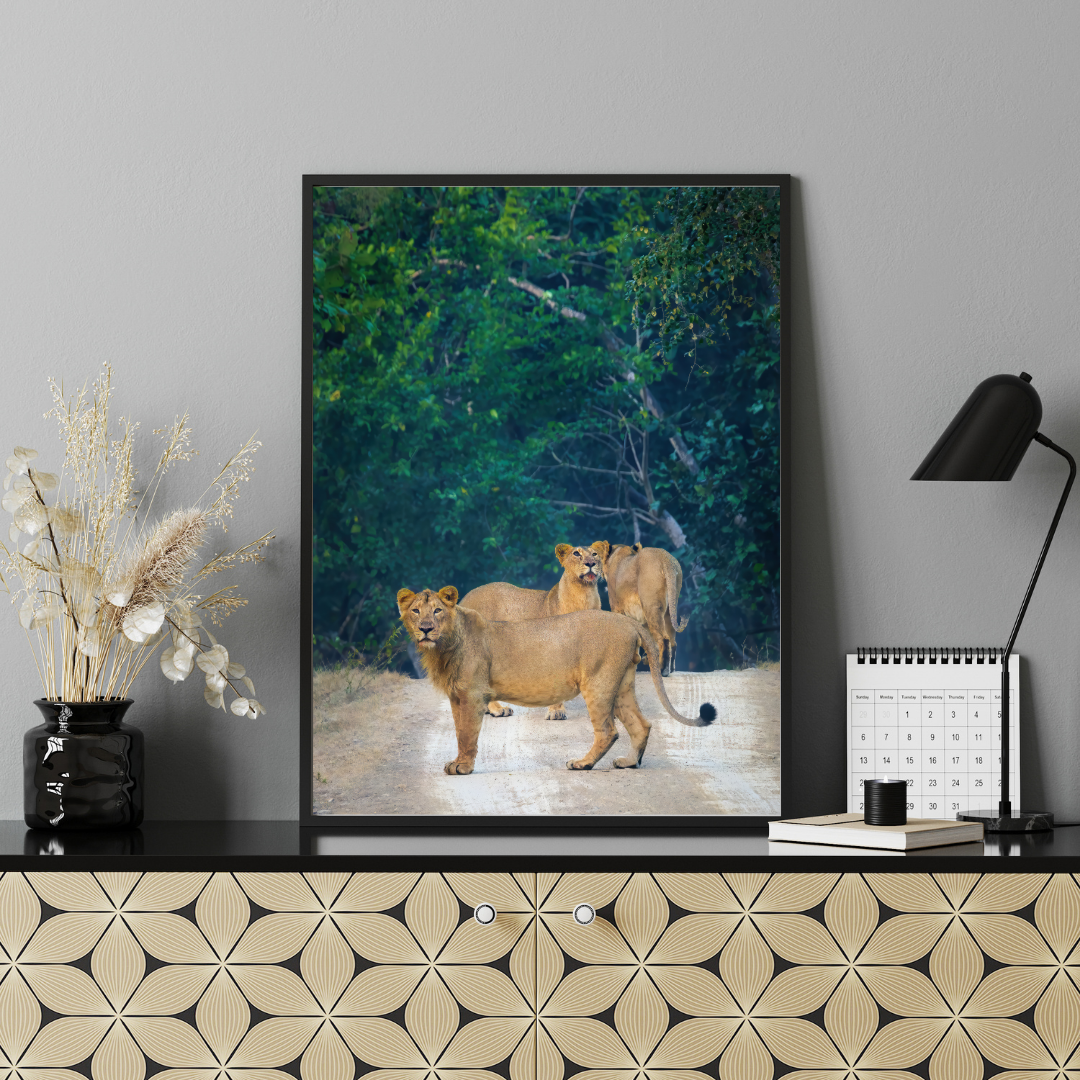 Sentinels of the Jungle – Lion Pride Fine Art Photography