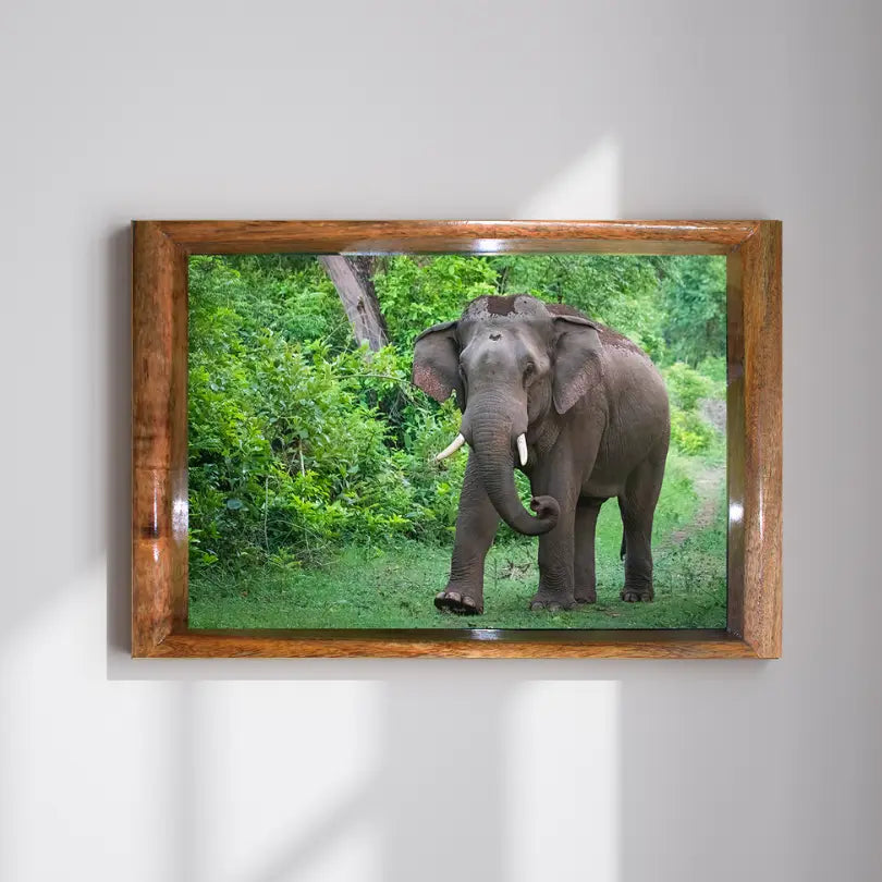 The Monarch of Corbett - Photo Art of Elephant