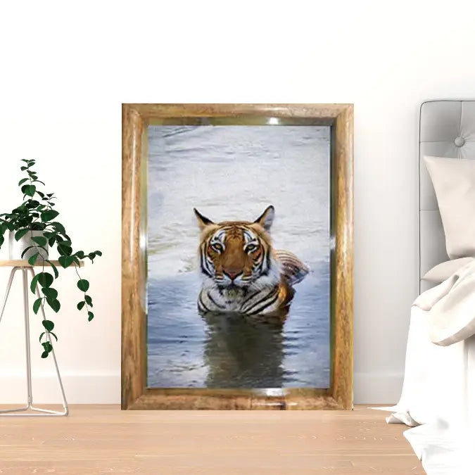 Royal Bengal Tiger in Water — Tiger, Fine Art Photography | Limited Edition