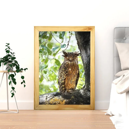 Winking Owl - Kanha National park Framed Owl Bird Photograph