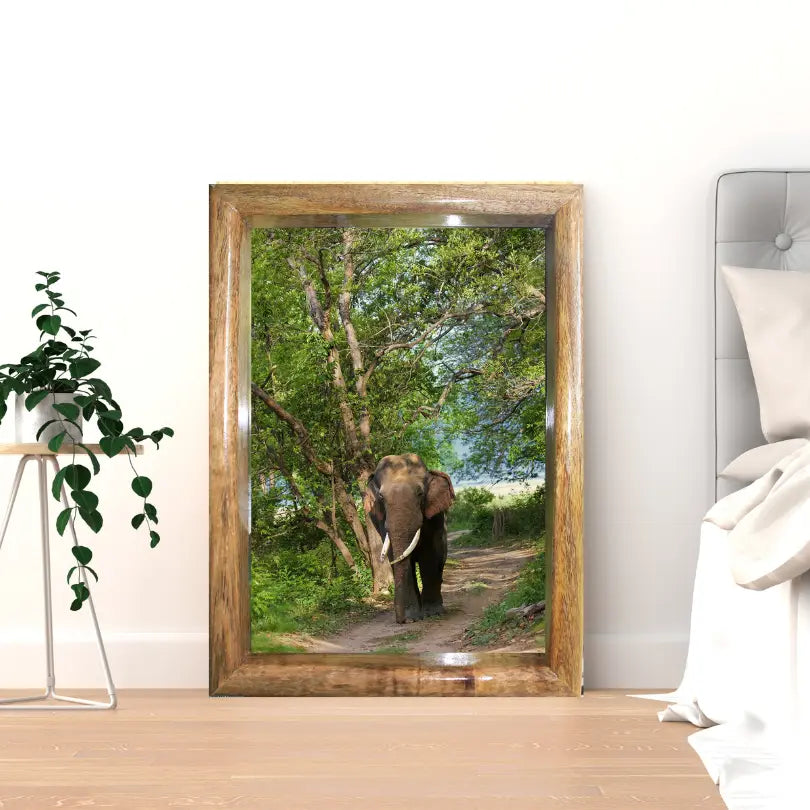 Through the Canopy — Elephant, Fine Art Photography | Limited Edition