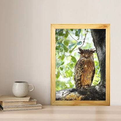 Winking Owl - Kanha National park Framed Owl Bird Photograph