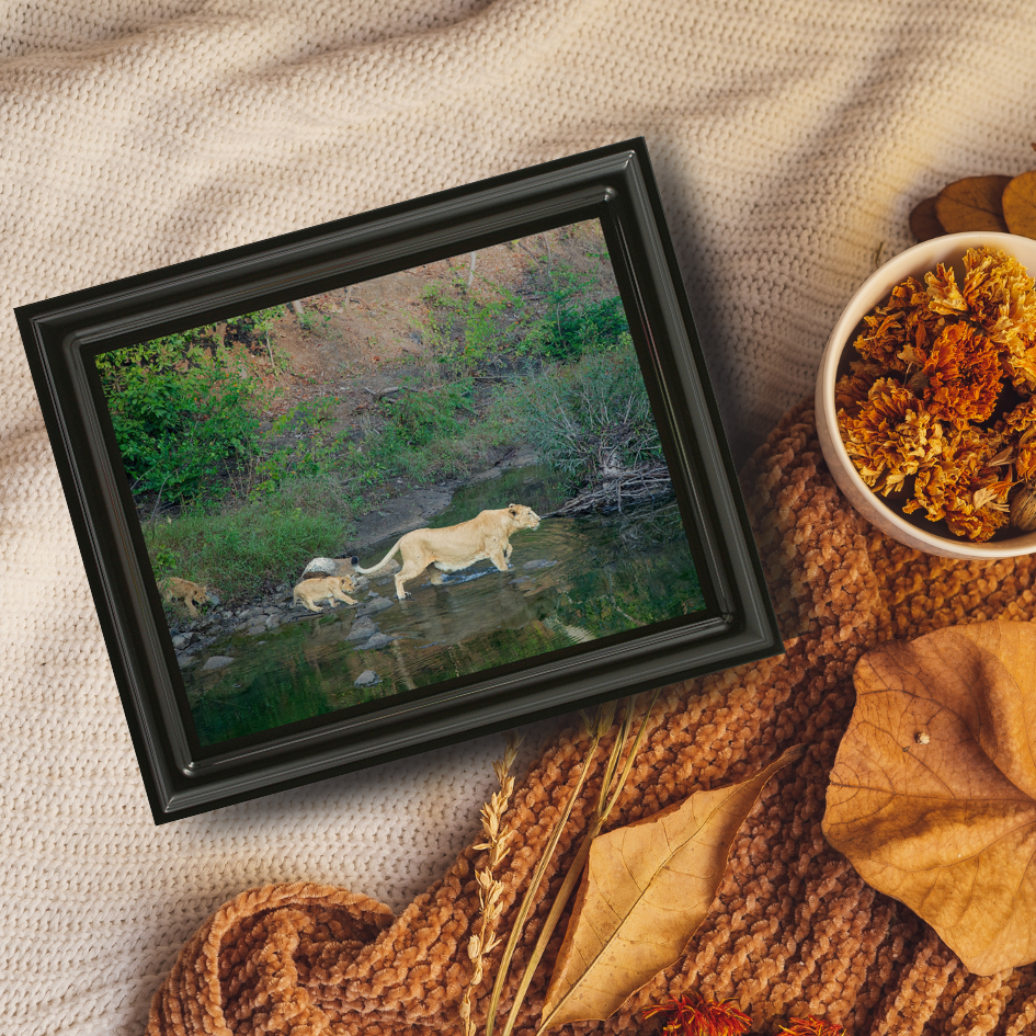 A River Lesson – The Journey of Survival