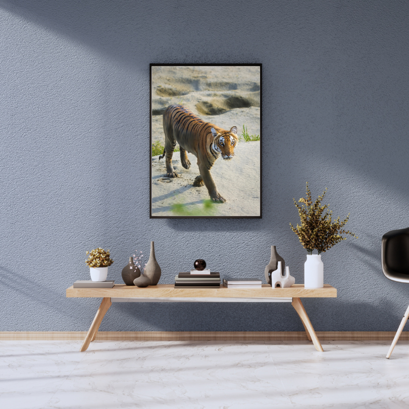 Emergence — Tiger, Fine Art Photography | Limited Edition