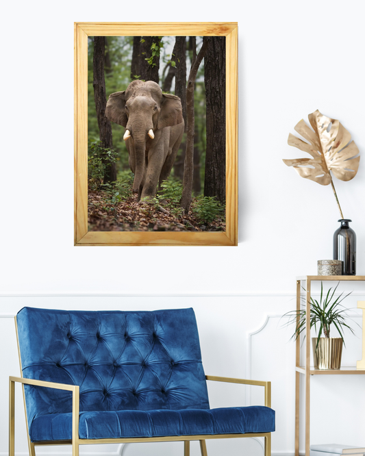 Silent Colonnade — Asian Elephant Fine Art Photography | Limited Edition Archival Print, India