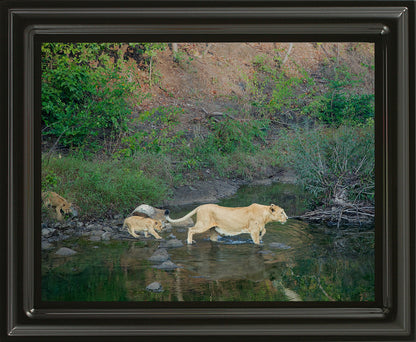 A River Lesson – The Journey of Survival