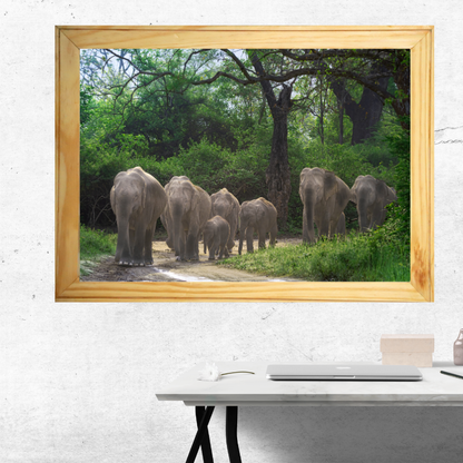 Asian elephant herd with calves walking through forest trail — Wildgraphy fine art wildlife print in wooden frame