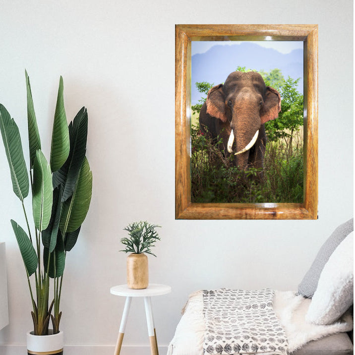 Head-On with the Jungle Badboy — Elephant, Fine Art Photography | Limited Edition