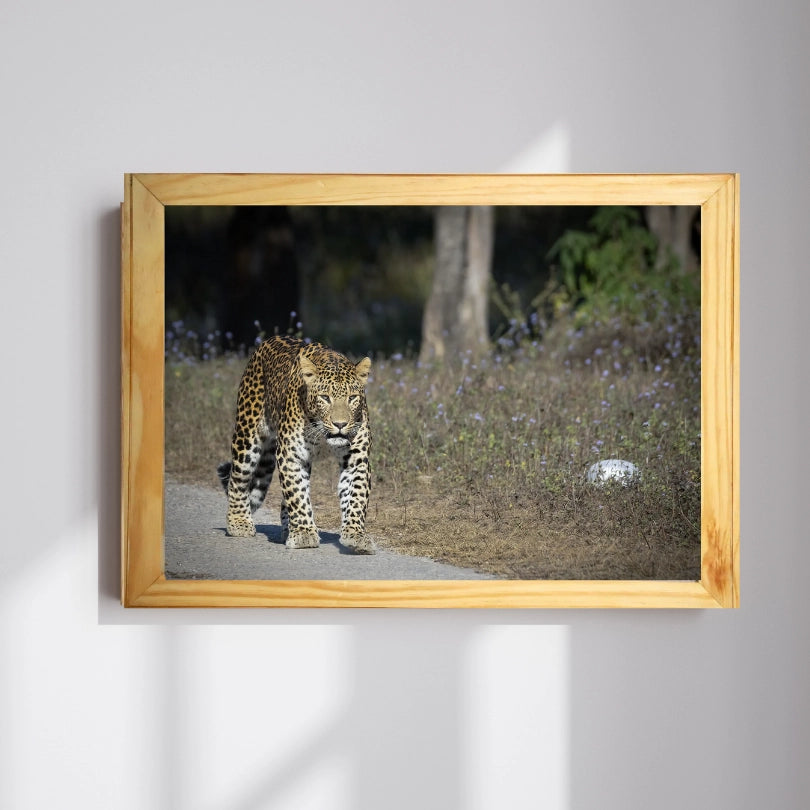A Head-On with the Ghost of Rajaji — Leopard, Fine Art Photography | Limited Edition