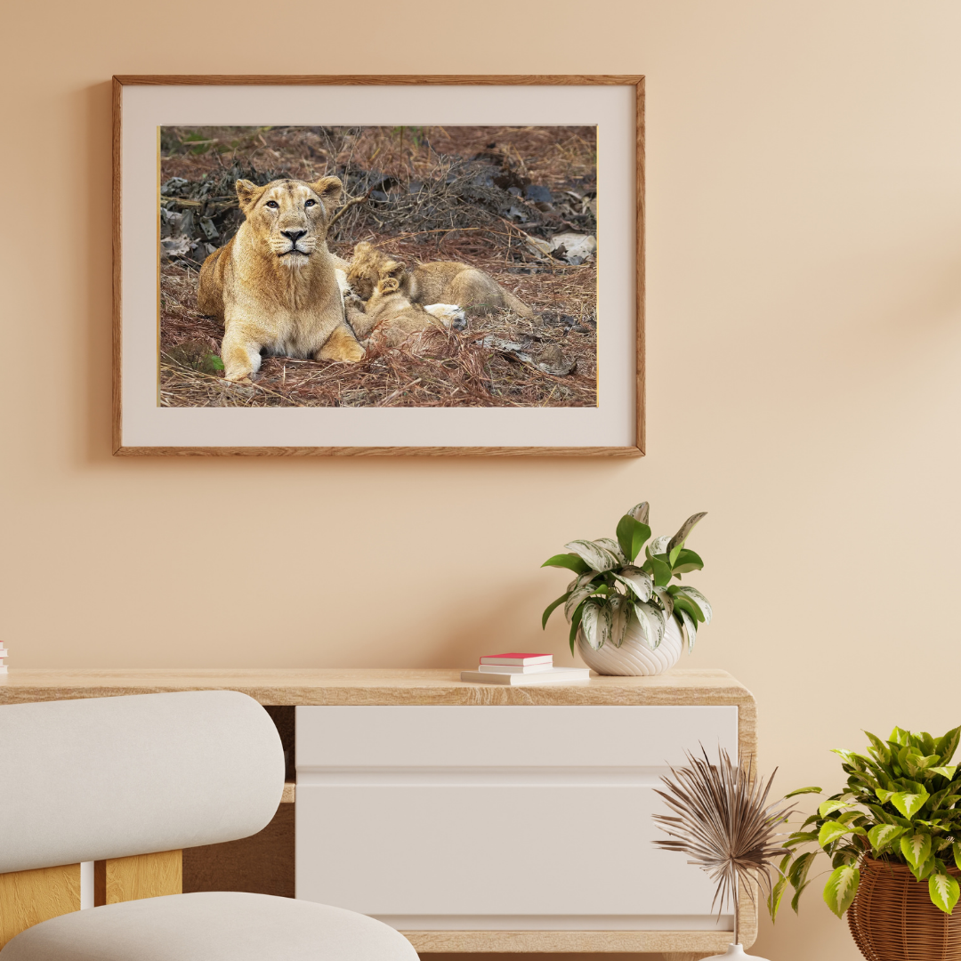 The Protectors of Gir – Lioness and Cubs Wildlife Artwork